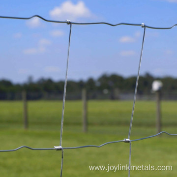 Dipped Galvanized Hinge Knot Woven Wire Field Fence